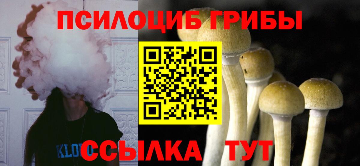 Ковров  Галлюциногенные грибы Magic Shrooms  Вход с VPN  Псилоцибиновые грибы Magic Shrooms 